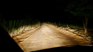 Haunted Places in Mumbai